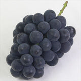 【7月販売】岡山産ニューピオーネ【秀品】1房化粧箱入