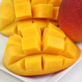 宮崎産完熟マンゴー【赤秀A品】4Lサイズ1玉化粧箱入