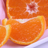 愛媛最高級ブランドみかん 真穴みかん「ひなの里」24~40粒産地化粧箱入