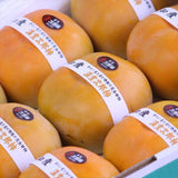 愛知産温室次郎柿【秀品】産地箱入