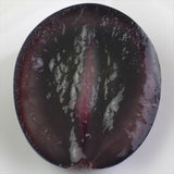 【5月販売】長野産ナガノパープル【秀品】1房化粧箱入