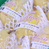 新潟白根または南蒲産ル・レクチェ【赤秀品】4キロ産地箱入