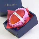 宮崎産完熟マンゴー【赤秀A品】4Lサイズ1玉化粧箱入