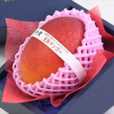 宮崎産完熟マンゴー【赤秀A品】4Lサイズ1玉化粧箱入