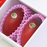 宮崎産完熟マンゴー 太陽のタマゴ「青秀品」4Lサイズ2玉産地化粧箱入