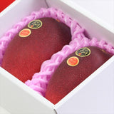 宮崎産完熟マンゴー 太陽のタマゴ「赤秀品」4Lサイズ2玉産地化粧箱入