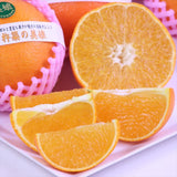 大分産杵築の美娘(きつきのみこ) 【特選品】産地化粧箱