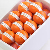 和歌山ゆら産セミノール【最上位等級5星】5㎏化粧箱入