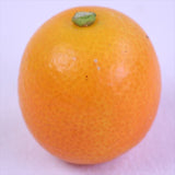 宮崎産種無し金柑「夢丸(ゆめまる)」化粧箱入