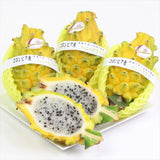 「幸せを呼ぶ伝説の果実」コロンビア産ハニーピタヤ 3玉化粧箱入