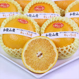 和歌山由良産ゆらっ子はっさく産地箱入