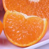 佐賀産はまさき【赤秀品】産地化粧箱入