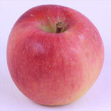 青森産こみつ【特選】8~13玉産地箱入