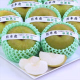 熊本産秋麗梨(しゅうれいなし)【赤秀品】9玉化粧箱入