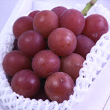 石川産ルビーロマン【赤秀品】1房産地化粧箱入