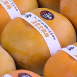 愛知産温室次郎柿【秀品】産地箱入