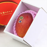 宮崎産完熟マンゴー 太陽のタマゴ「青秀品」5Lサイズ1玉産地化粧箱入