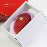 宮崎産完熟マンゴー 太陽のタマゴ「赤秀品」5Lサイズ1玉産地化粧箱入