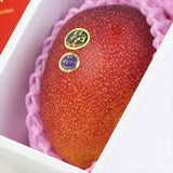 宮崎産完熟マンゴー 太陽のタマゴ「青秀品」5Lサイズ1玉産地化粧箱入