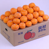 和歌山県湯浅産田村みかん【赤秀品】5キロ産地箱入