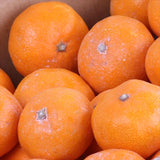 和歌山県湯浅産田村みかん【赤秀品】5キロ産地箱入