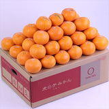 和歌山産下津山虎 土山さんの虎の子みかん【赤秀品】5キロ産地化粧箱入