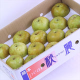 熊本産秋麗梨(しゅうれいなし)【赤秀品】12~14玉産地箱入