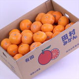 和歌山県湯浅産田村みかん【赤秀品】5キロ産地箱入