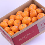 和歌山産下津山虎 土山さんの虎の子みかん【赤秀品】5キロ産地化粧箱入