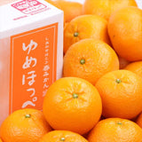 山口産ゆめほっぺ(せとみ柑橘)【秀品】 5㎏産地箱入