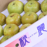 熊本産秋麗梨(しゅうれいなし)【赤秀品】12~14玉産地箱入
