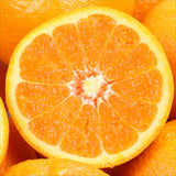 山口産ゆめほっぺ(せとみ柑橘)【秀品】 5㎏産地箱入