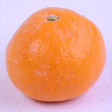 和歌山産下津山虎 土山さんの虎の子みかん【赤秀品】5キロ産地化粧箱入