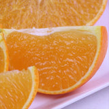 大分産杵築の美娘(きつきのみこ) 【特選品】産地化粧箱