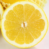 愛媛産マルエムフルーツアイランド産 美生柑(みしょうかん) 10㌔産地箱 22玉入