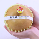 新潟産新高梨一糖賞(いっとうしょう)【特秀品】産地箱入