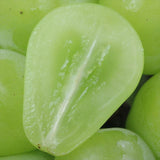 岡山産マスカット・ジパング【赤秀品】1房化粧箱入