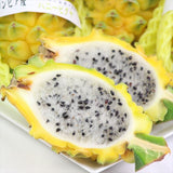 「幸せを呼ぶ伝説の果実」コロンビア産ハニーピタヤ 3玉化粧箱入