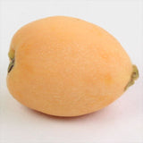 【5月販売】香川産 陽玉(ようぎょく)びわ 【赤秀品】 産地化粧箱入