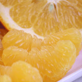 愛媛産宮内いよかん【赤秀品】9玉化粧箱入