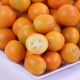 宮崎産種無し金柑「夢丸(ゆめまる)」化粧箱入