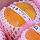 愛媛産太天柿「福嘉柿」産地箱入