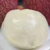 宮崎産生ライチ産地化粧箱