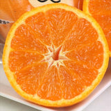 愛媛産カラマンダリン「みきゃんの中島便り」 最高等級【匠と極】