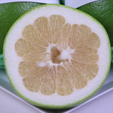 イスラエル産スウィーティー化粧箱入