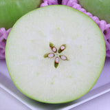 長野産グラニースミス【秀品】18玉産地箱入