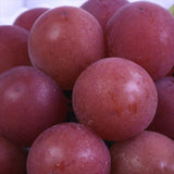 石川産ルビーロマン【赤秀品】1房産地化粧箱入