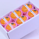 愛媛中央産 せとか【赤秀品】 6玉化粧箱入