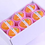 佐賀JAからつ産温室せとか【赤秀品】 6玉化粧箱入