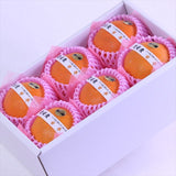 愛媛産甘平(かんぺい)【赤秀品】6玉化粧箱入